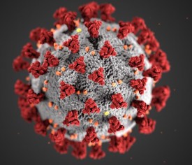 CDC-coronavirus-image-23311-for-web
